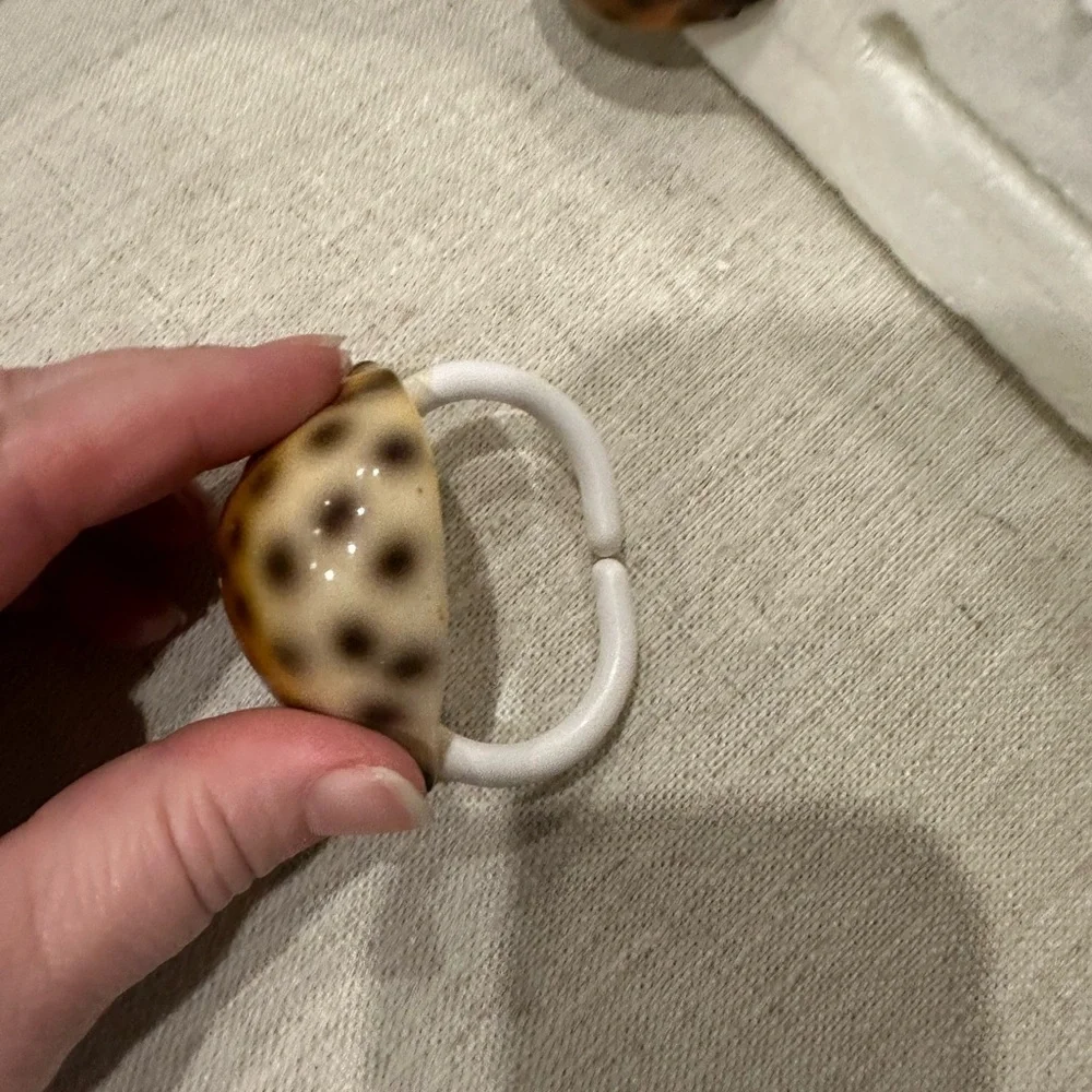 unbranded sea shell
